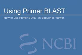 آموزش طراحی پرایمر با استفاده از سایت NCBI و ابزار Primer-BLAST