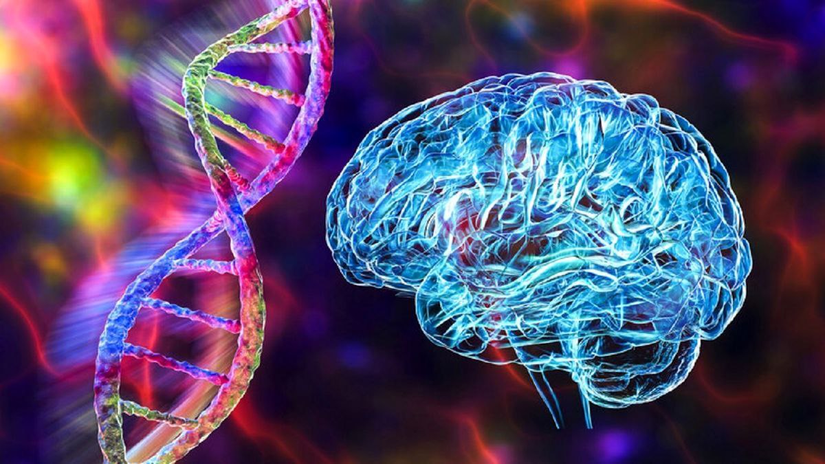 دستاورد جدید دانشمندان، ژن‌درمانی مستقیم مغز