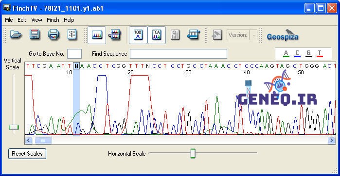 دانلود نرم افزار 1.4 FinchTV برای تحلیل و بررسی توالی‌های DNA و RNA