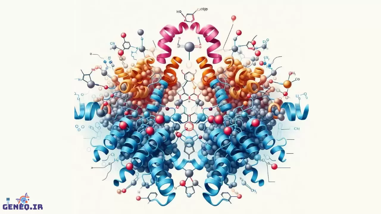 آنزیم‌ها: مولکول‌های شگفت‌انگیز زندگی